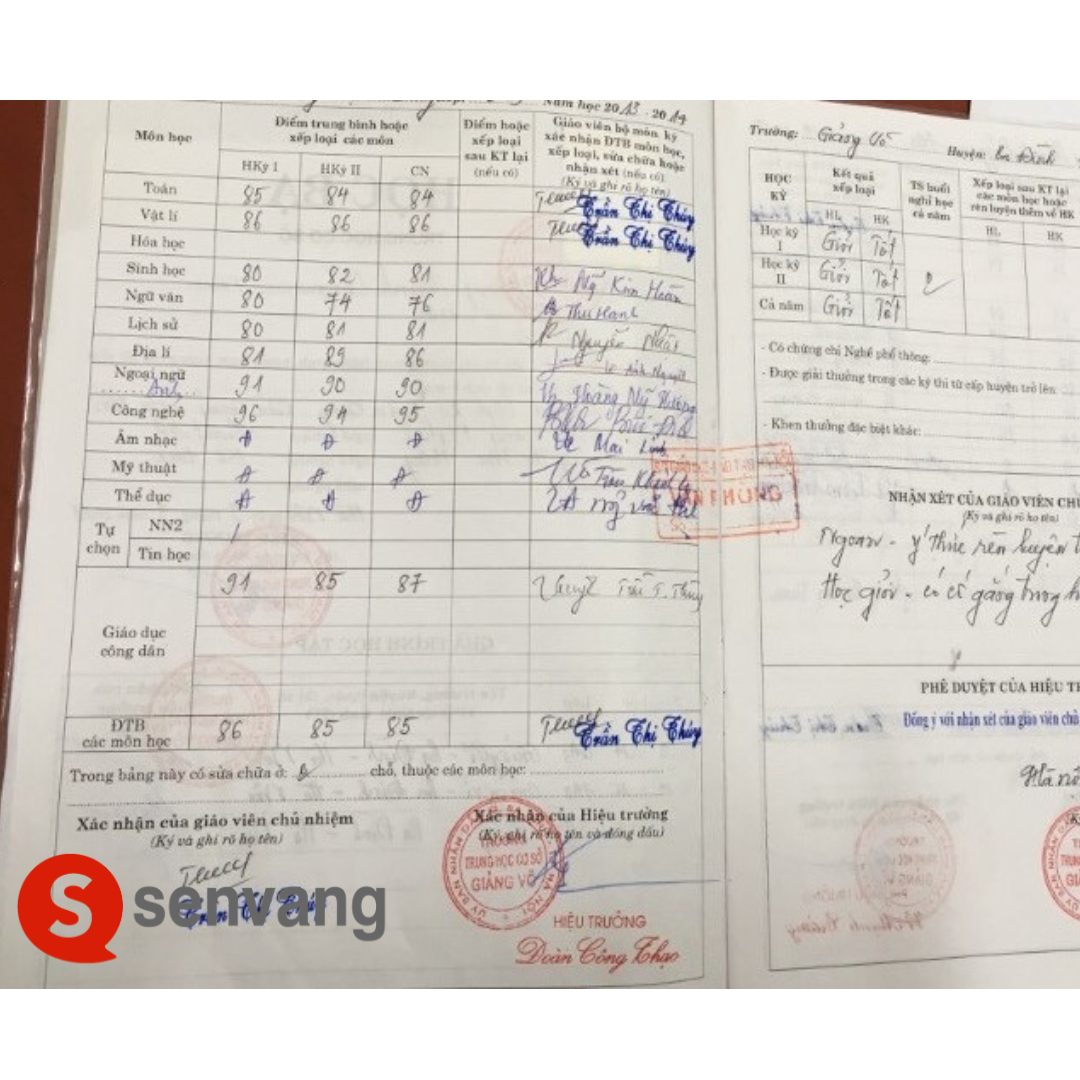 Dịch Thuật Học Bạ
