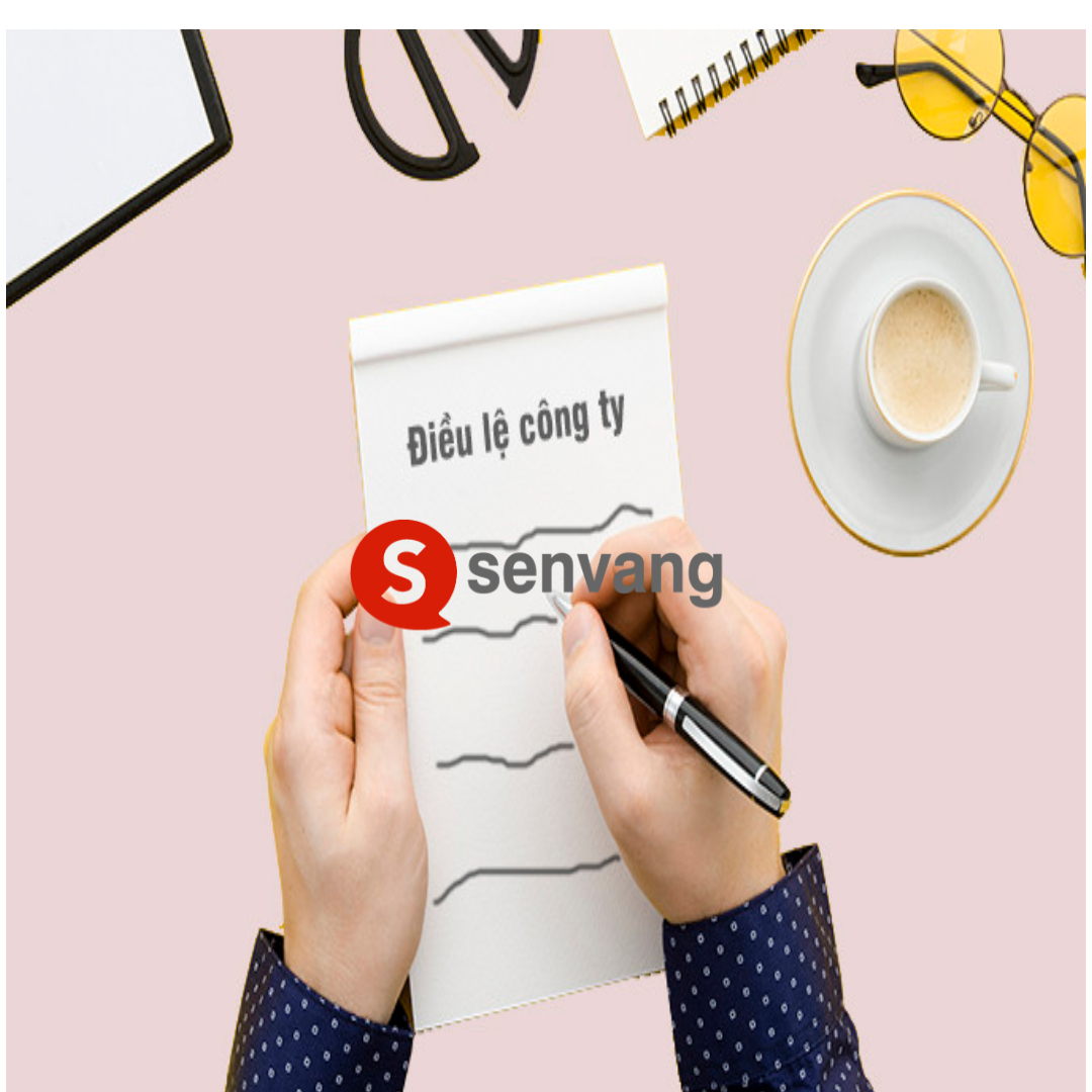 Dịch điều lệ từ Việt sang Trung