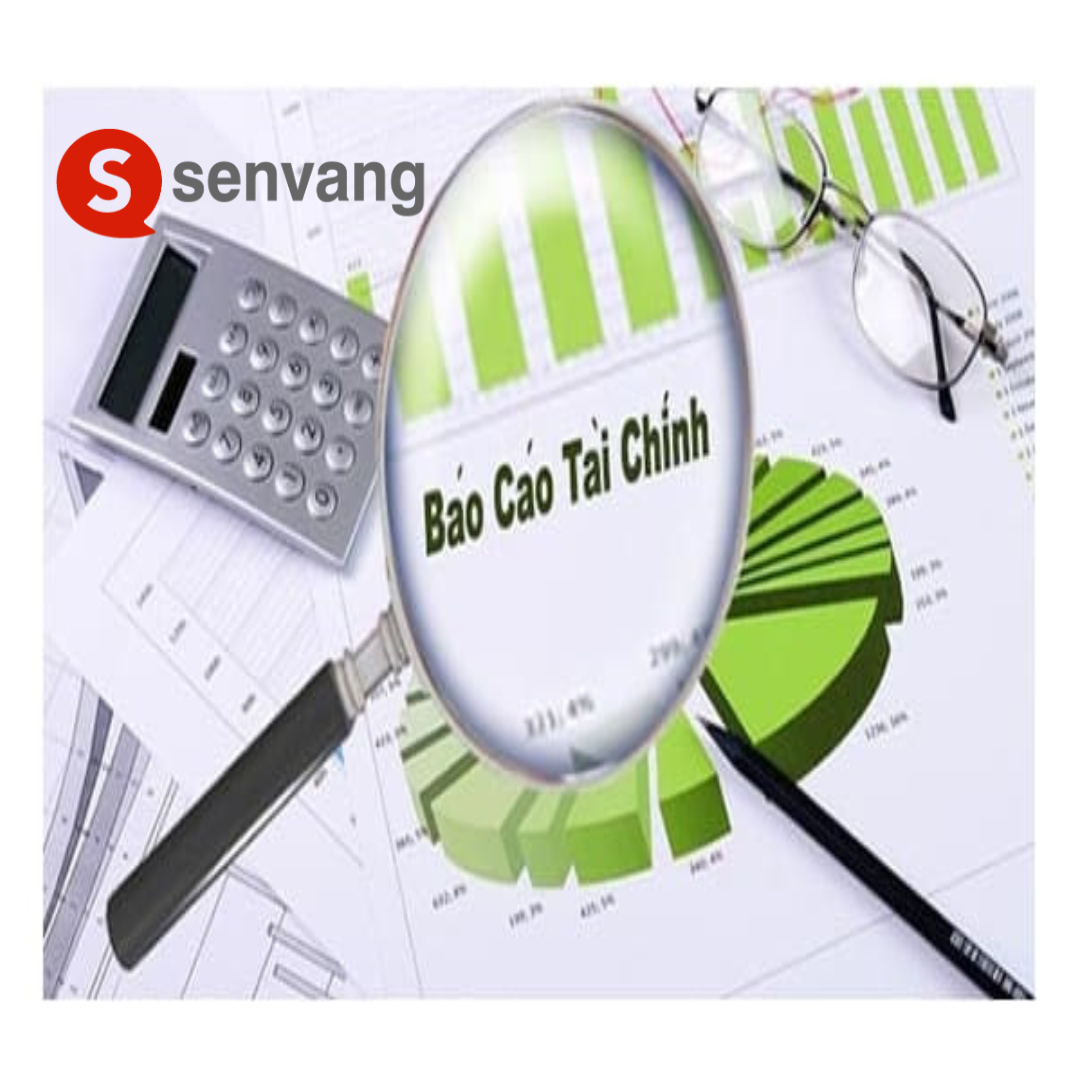 Dịch báo cáo tài chính