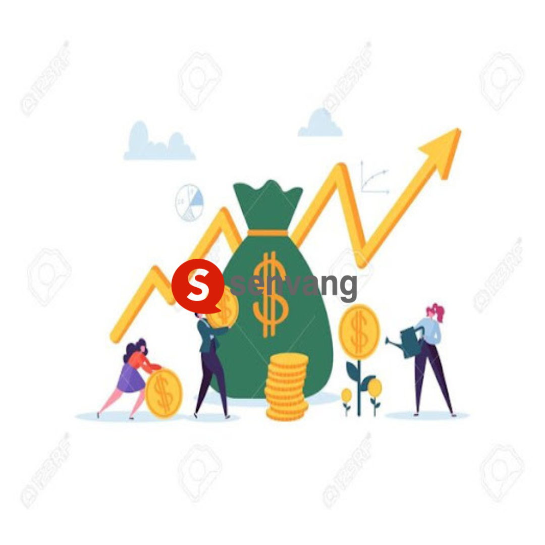 Báo giá dịch vụ