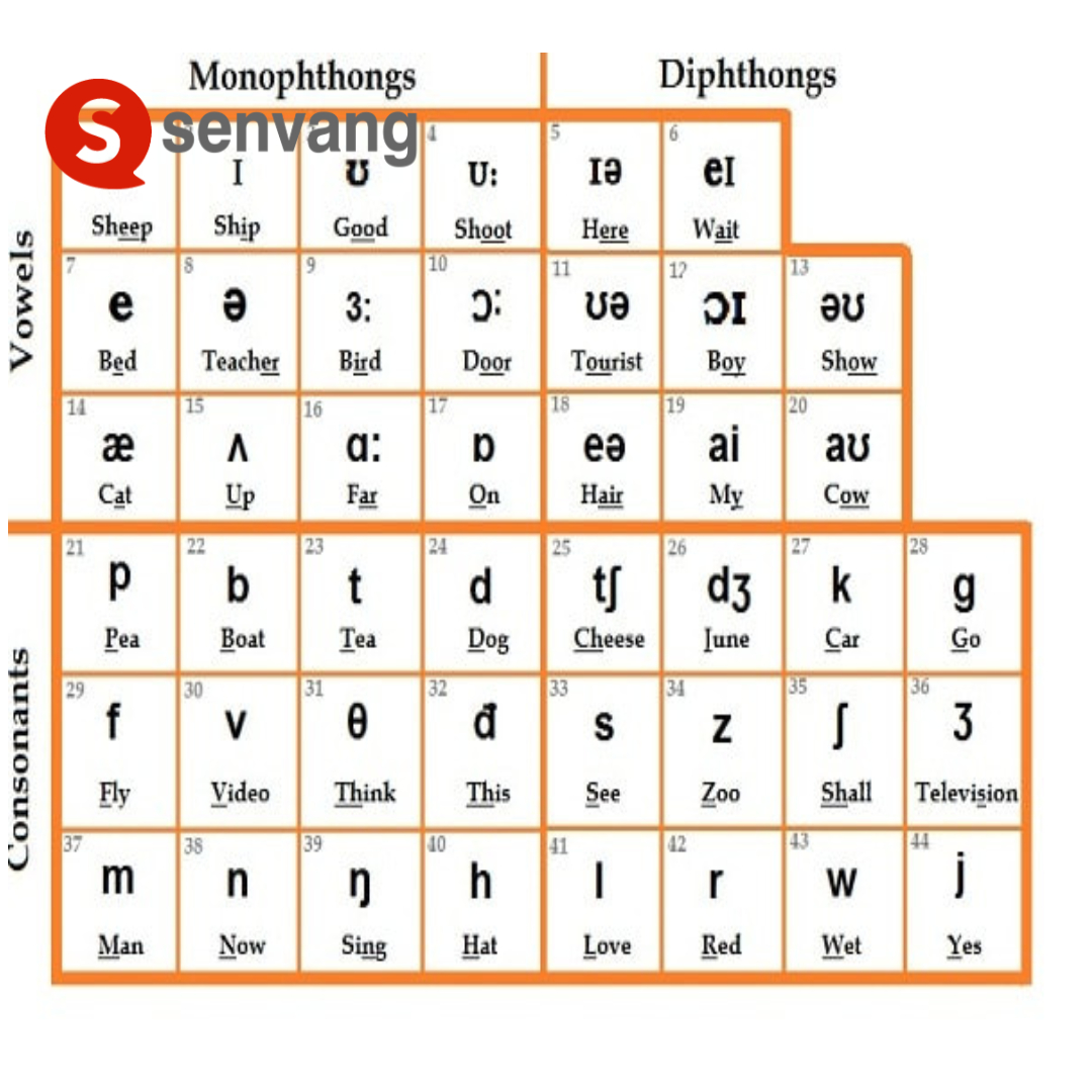 Các ký hiệu phiên âm phổ biến
