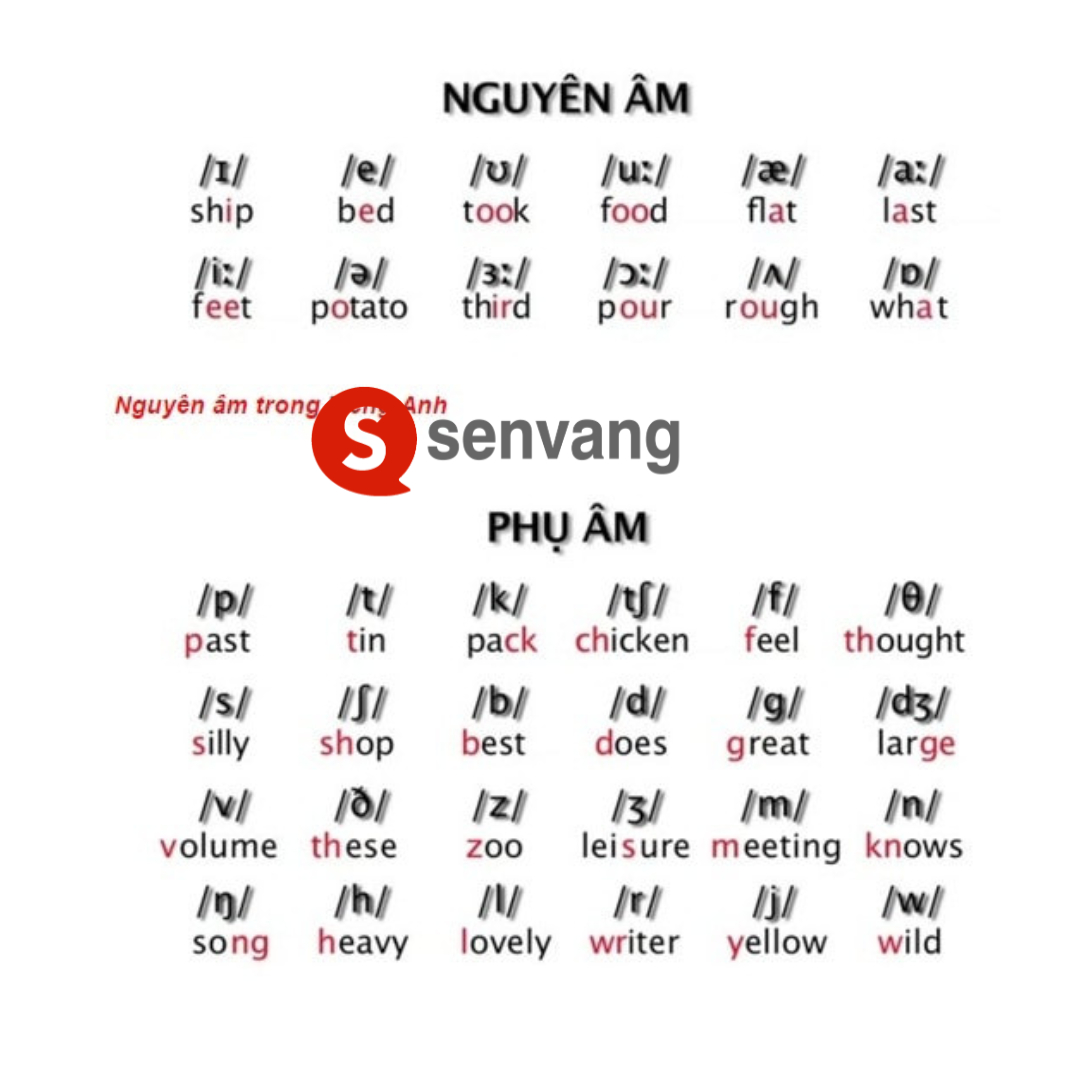 Dịch phát âm tiếng Anh