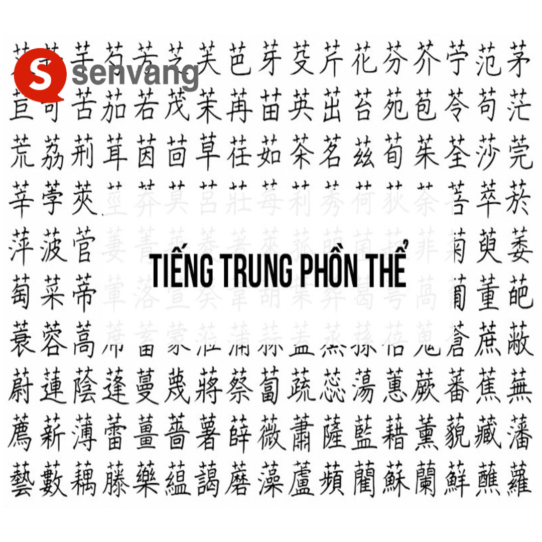 Dịch tiếng Trung phồn thể