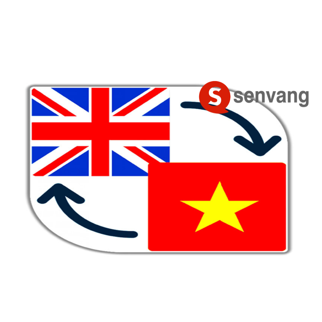 dịch tiếng Anh ra Việt