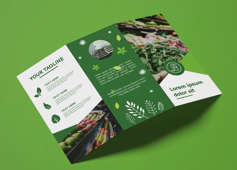 Dịch Brochure Sản phẩm